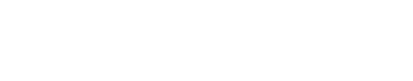 logo-entete-NBS
