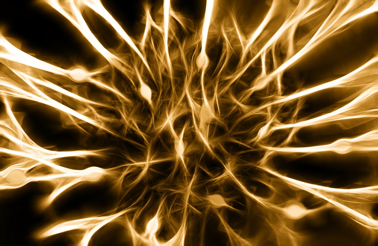 nerves-346928_1280